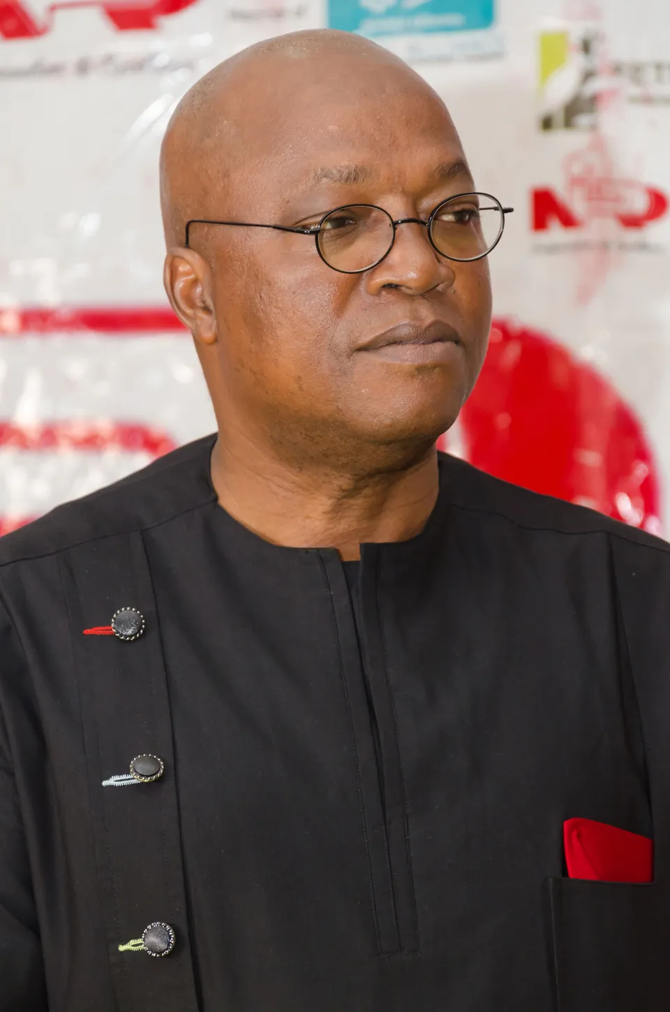 Conference portrait of Dr. Wole Adamolekun